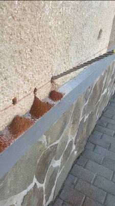 Salétromos fal, falak megszabadítása a salétromtól 4